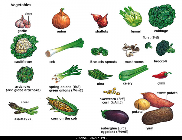 Click image for larger version. 

Name:	vegetables.png 
Views:	30301 
Size:	362.4 KB 
ID:	339