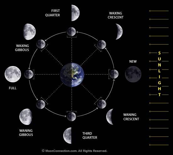 Name:  moon_phases_diagram.jpg
Views: 2665
Size:  26.4 KB