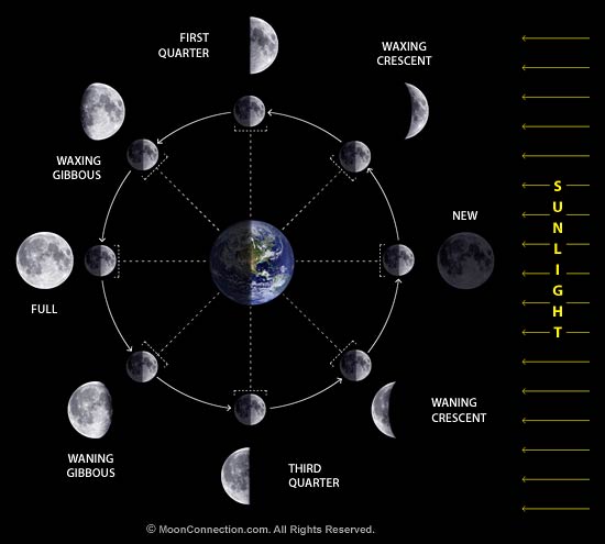 Name:  moon_phases_diagram.jpg
Views: 3565
Size:  26.4 KB