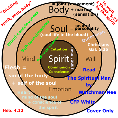 Name:  bodysoulspirit.png
Views: 4744
Size:  123.1 KB